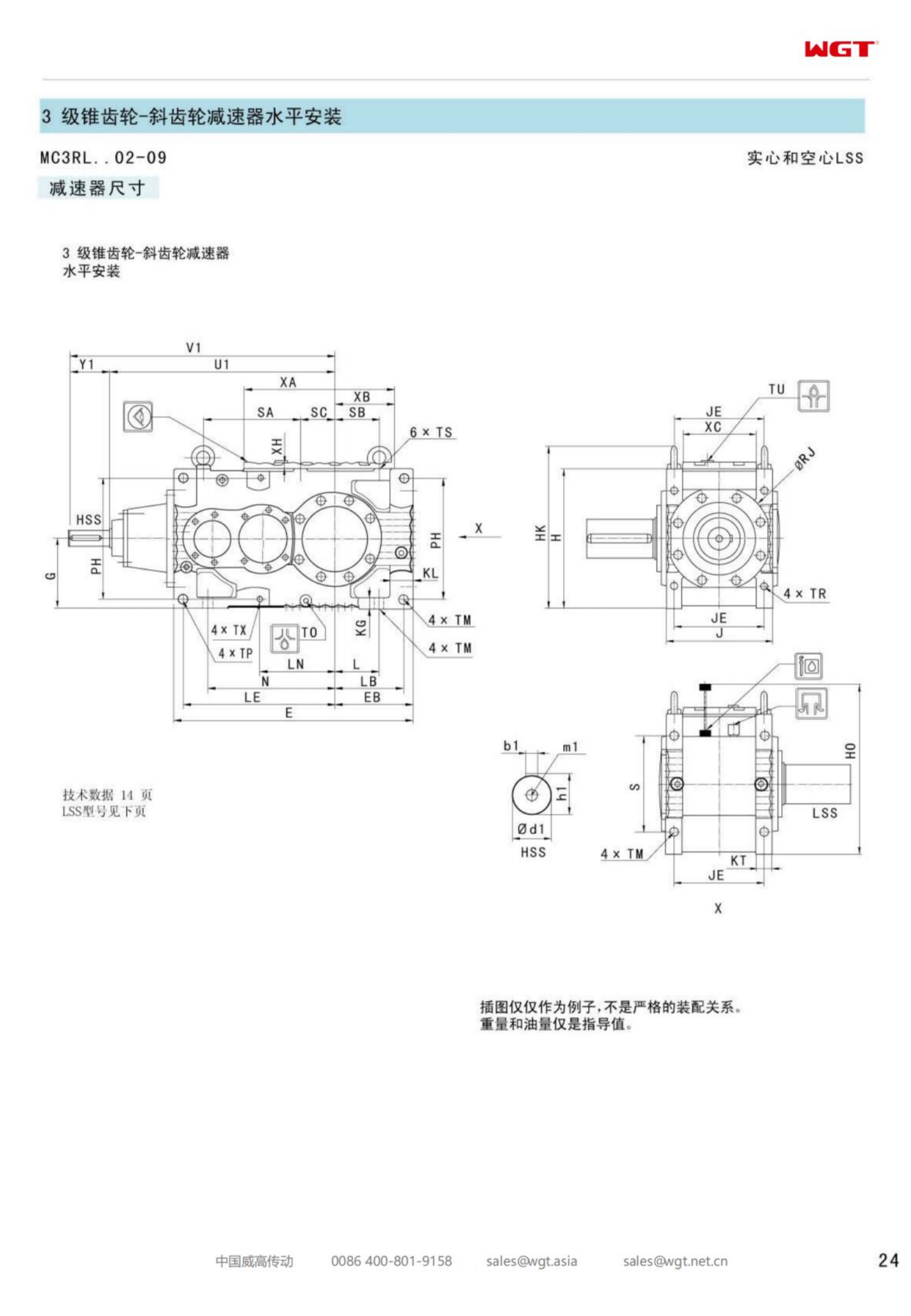 cad-top-view-trees-with-names-dwg-toffu-co-architecture-symbols